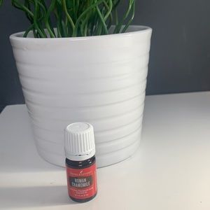 Young Living Roman chamomile
